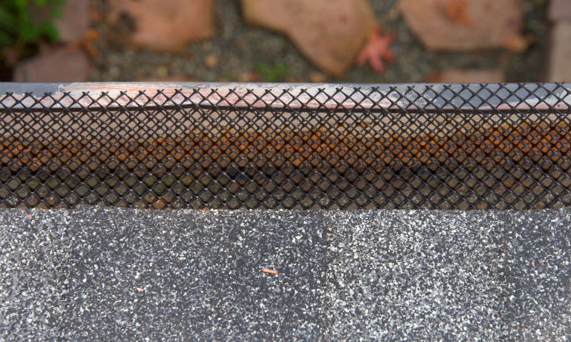 Gutter Guard Solutions