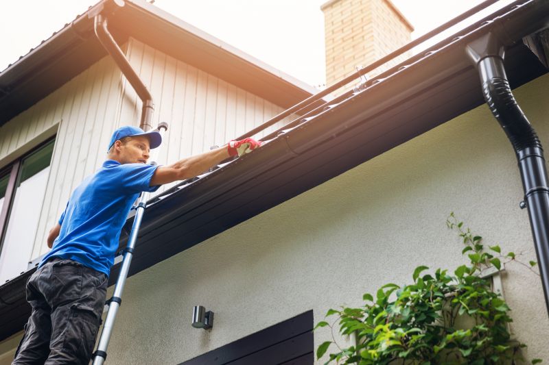 Gutter Cleaning Image