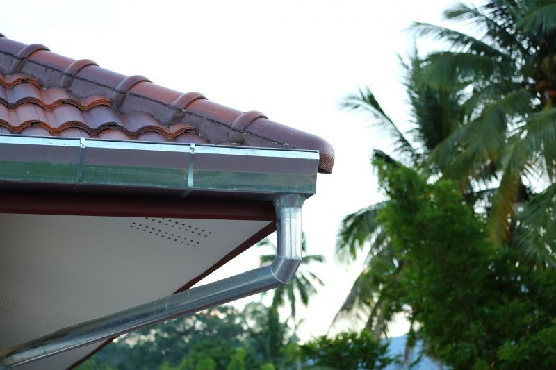 Stainless Steel Gutter Service