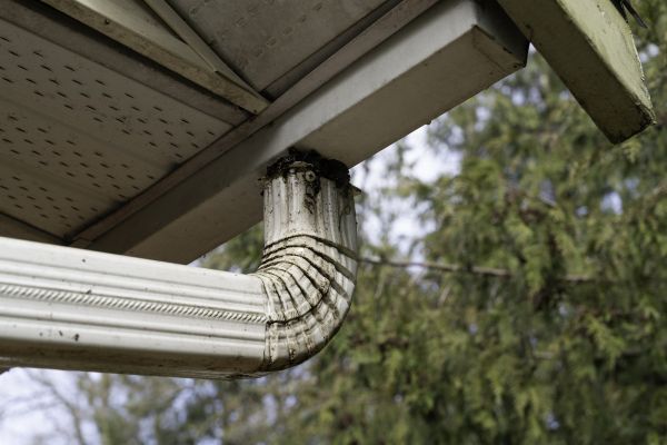 Cost of Roof Drain Replacement in Ellicott City
